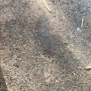 Meet your Posher, Ashleigh